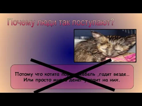 Почему люди так поступают? Потому что котята портят мебель ,гадят везде… Или