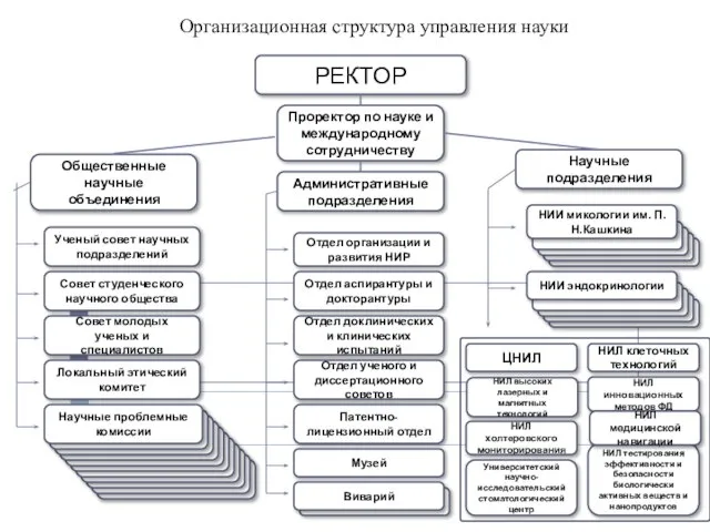 Организационная структура управления науки РЕКТОР Проректор по науке и международному сотрудничеству Общественные