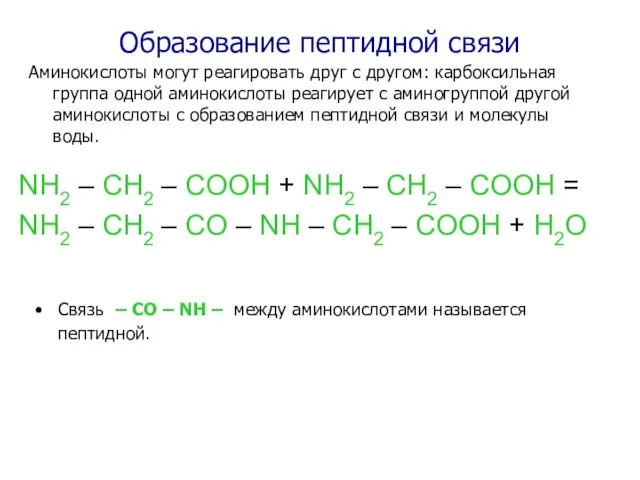 Образование пептидной связи NH2 – CH2 – COOH + NH2 – CH2