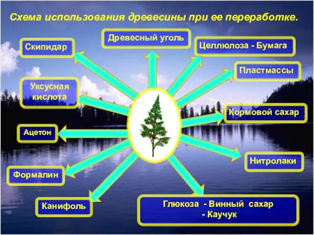 Схема использования древесины при ее переработке. Древесный уголь Целлюлоза - Бумага Пластмассы