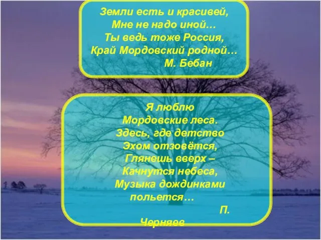 Я люблю Мордовские леса. Здесь, где детство Эхом отзовётся, Глянешь вверх –