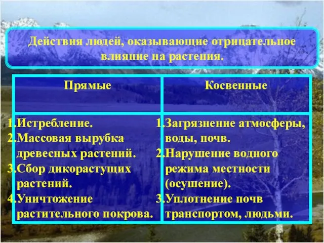 Действия людей, оказывающие отрицательное влияние на растения.