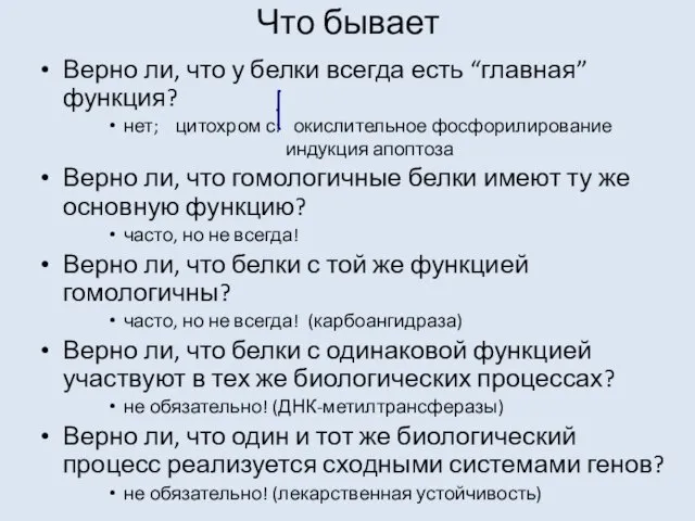 Что бывает Верно ли, что у белки всегда есть “главная” функция? нет;