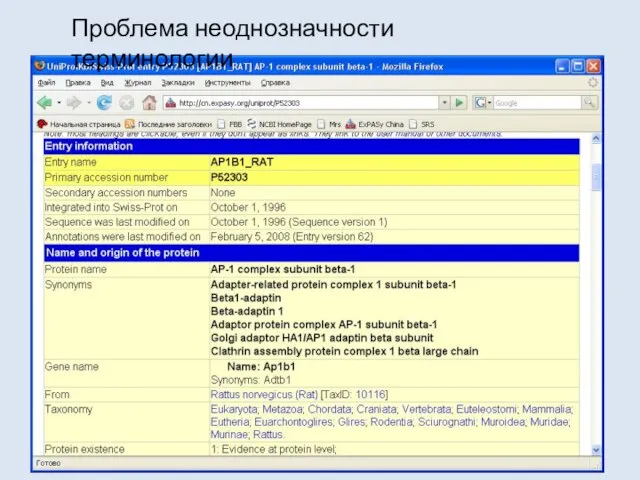 Проблема неоднозначности терминологии