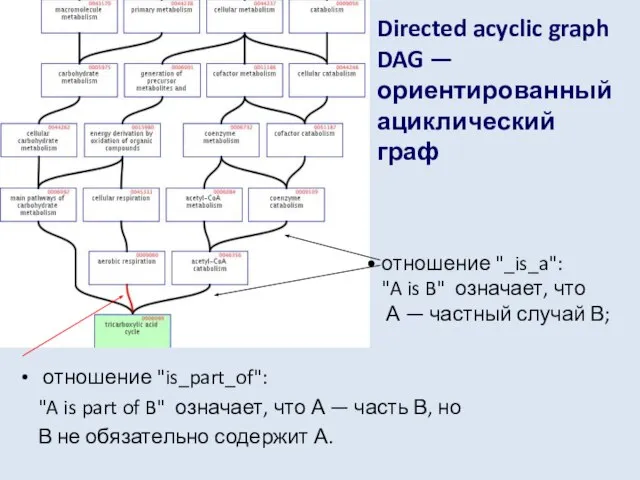 Directed acyclic graph DAG —ориентированный ациклический граф отношение "is_part_of": "A is part