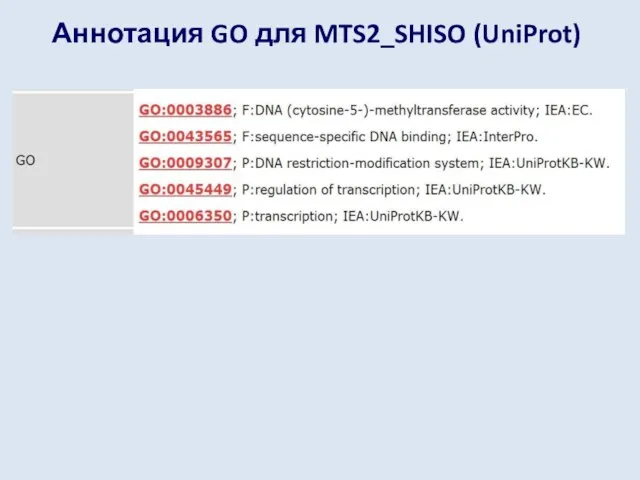 Аннотация GO для MTS2_SHISO (UniProt)