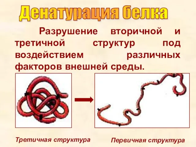 Разрушение вторичной и третичной структур под воздействием различных факторов внешней среды. Третичная