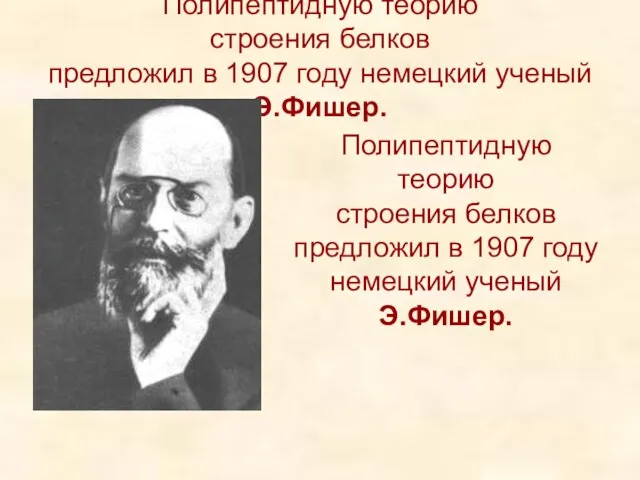 Полипептидную теорию строения белков предложил в 1907 году немецкий ученый Э.Фишер. Полипептидную