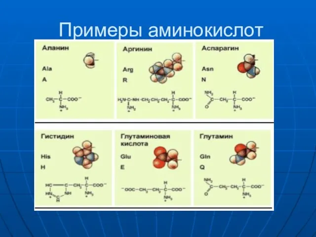 Примеры аминокислот