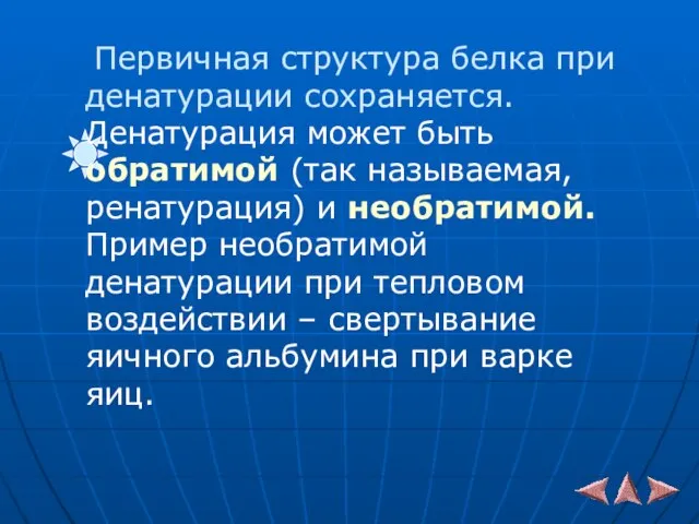 Первичная структура белка при денатурации сохраняется. Денатурация может быть обратимой (так называемая,