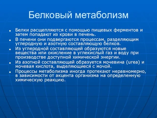 Белковый метаболизм Белки расщепляются с помощью пищевых ферментов и затем попадают из