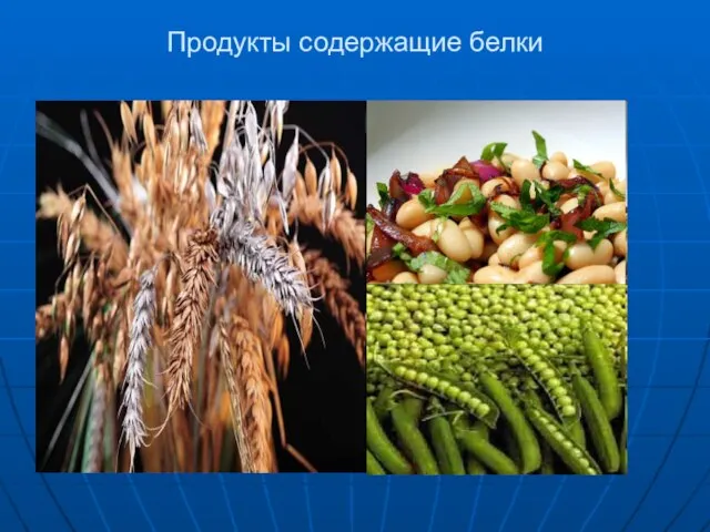 Продукты содержащие белки