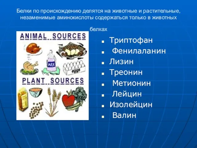 Белки по происхождению делятся на животные и растительные, незаменимые аминокислоты содержаться только