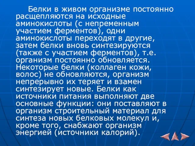 Белки в живом организме постоянно расщепляются на исходные аминокислоты (с непременным участием