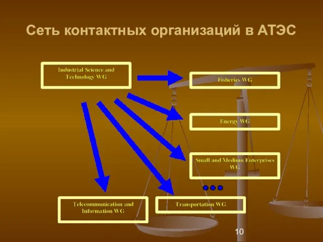 Сеть контактных организаций в АТЭС