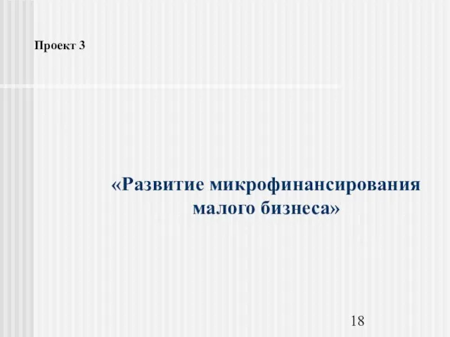 «Развитие микрофинансирования малого бизнеса» Проект 3