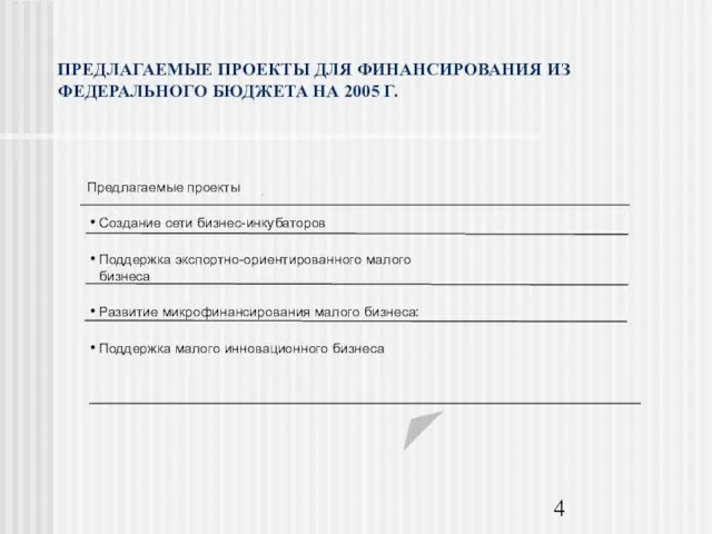 ПРЕДЛАГАЕМЫЕ ПРОЕКТЫ ДЛЯ ФИНАНСИРОВАНИЯ ИЗ ФЕДЕРАЛЬНОГО БЮДЖЕТА НА 2005 Г. Создание сети