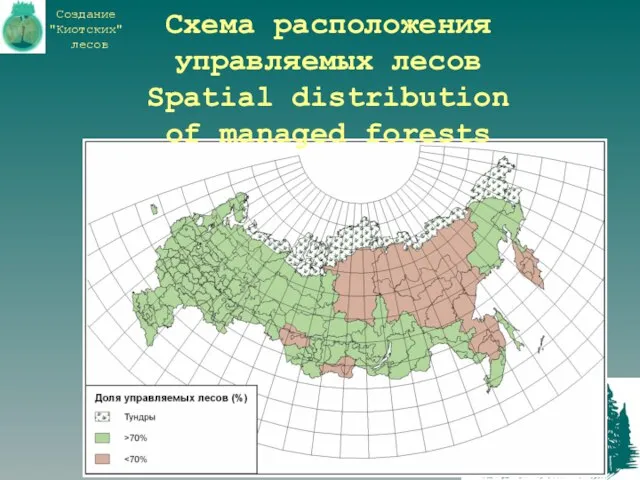 Схема расположения управляемых лесов Spatial distribution of managed forests