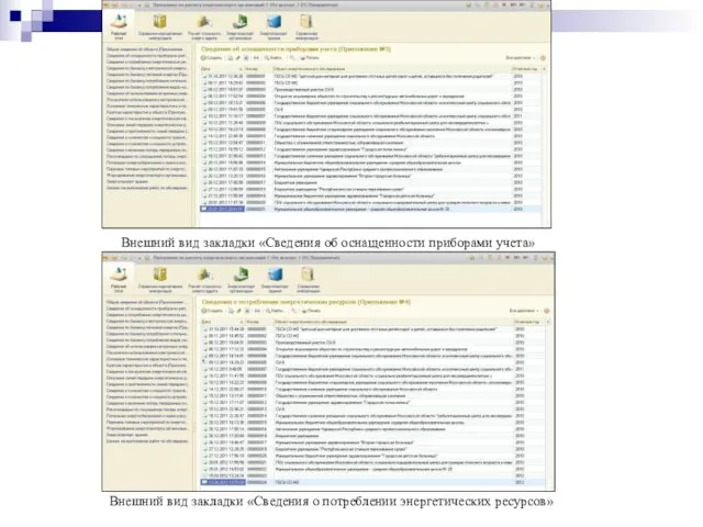 Внешний вид закладки «Сведения об оснащенности приборами учета» Внешний вид закладки «Сведения о потреблении энергетических ресурсов»