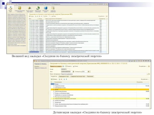 Внешний вид закладки «Сведения по балансу электрической энергии» Детализация закладки «Сведения по балансу электрической энергии»
