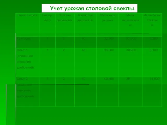 Учет урожая столовой свеклы.