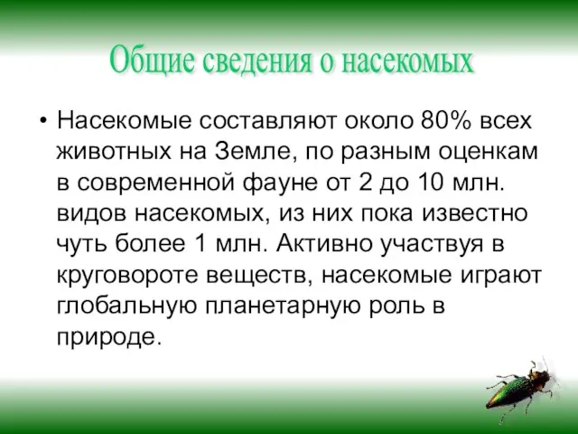 Насекомые составляют около 80% всех животных на Земле, по разным оценкам в