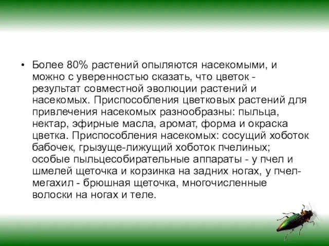 Более 80% растений опыляются насекомыми, и можно с уверенностью сказать, что цветок