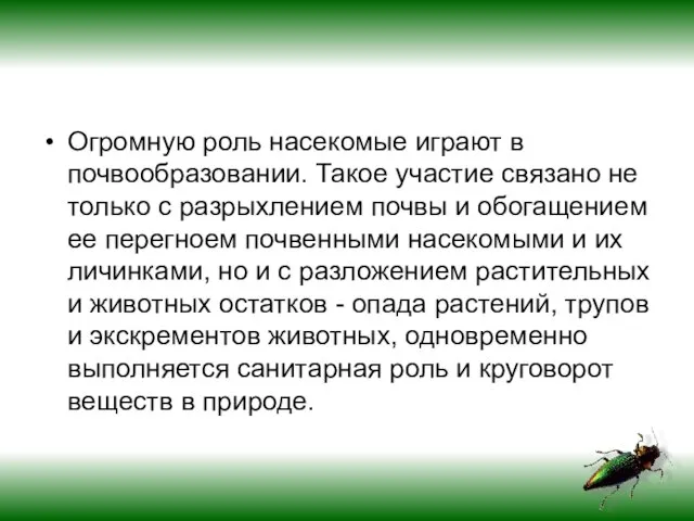 Огромную роль насекомые играют в почвообразовании. Такое участие связано не только с