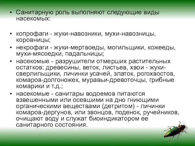 Санитарную роль выполняют следующие виды насекомых: копрофаги - жуки-навозники, мухи-навозницы, коровницы; некрофаги