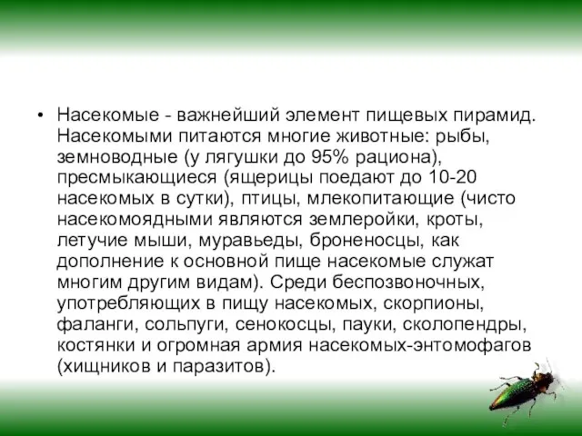 Насекомые - важнейший элемент пищевых пирамид. Насекомыми питаются многие животные: рыбы, земноводные