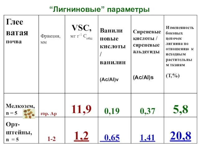 “Лигниновые” параметры