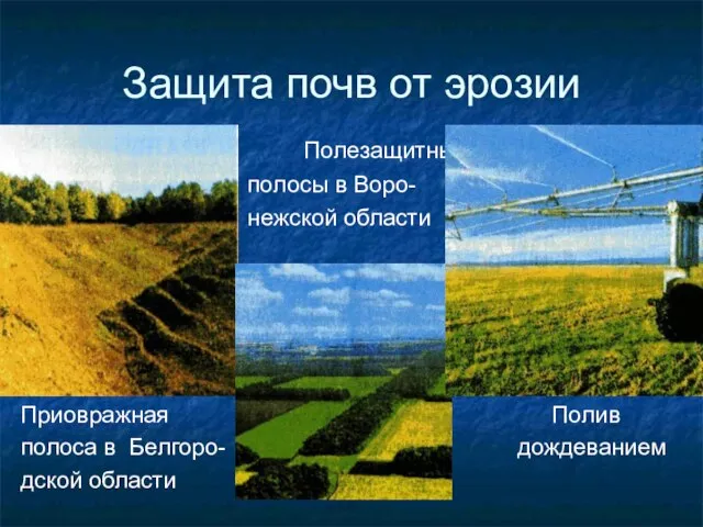 Защита почв от эрозии Полезащитные полосы в Воро- нежской области Приовражная Полив