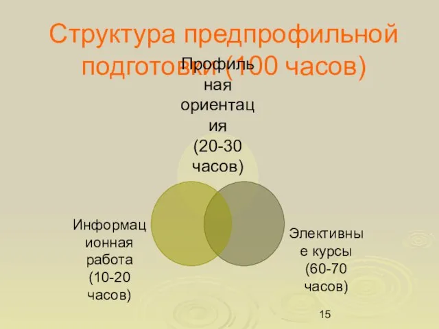 Структура предпрофильной подготовки (100 часов)