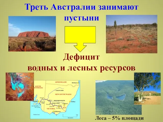 Треть Австралии занимают пустыни Дефицит водных и лесных ресурсов Леса – 5% площади