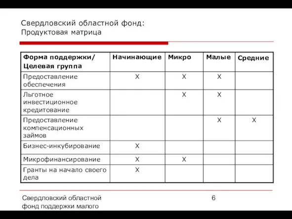 Свердловский областной фонд поддержки малого предпринимательства, 2008 г. Свердловский областной фонд: Продуктовая матрица