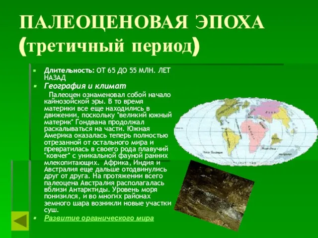 ПАЛЕОЦЕНОВАЯ ЭПОХА (третичный период) Длительность: ОТ 65 ДО 55 МЛН. ЛЕТ НАЗАД