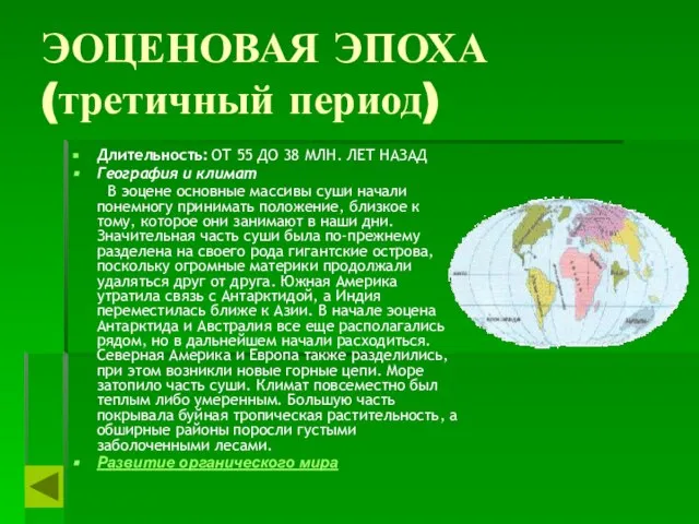 ЭОЦЕНОВАЯ ЭПОХА (третичный период) Длительность: ОТ 55 ДО 38 МЛН. ЛЕТ НАЗАД