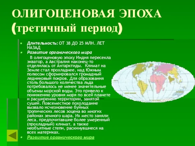 ОЛИГОЦЕНОВАЯ ЭПОХА (третичный период) Длительность: ОТ 38 ДО 25 МЛН. ЛЕТ НАЗАД