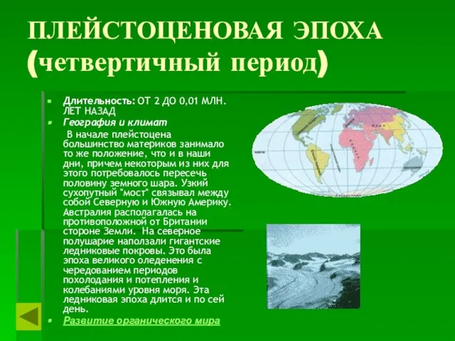 ПЛЕЙСТОЦЕНОВАЯ ЭПОХА (четвертичный период) Длительность: ОТ 2 ДО 0,01 МЛН. ЛЕТ НАЗАД