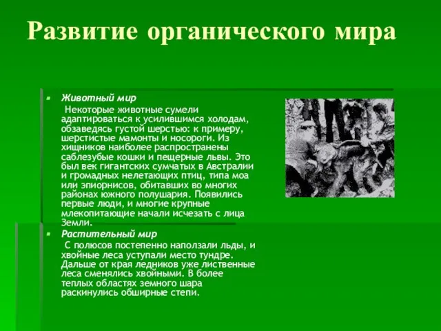 Развитие органического мира Животный мир Некоторые животные сумели адаптироваться к усилившимся холодам,