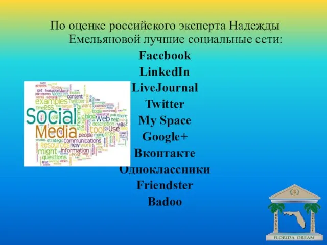 По оценке российского эксперта Надежды Емельяновой лучшие социальные сети: Facebook LinkedIn LiveJournal
