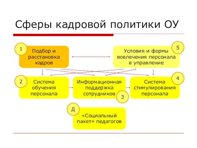 Сферы кадровой политики ОУ Подбор и расстановка кадров Система обучения персонала Информационная