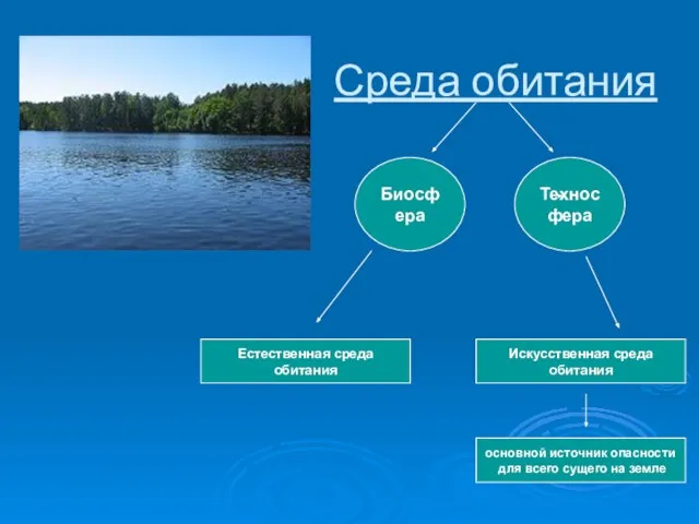 Среда обитания Техносфера Естественная среда обитания Искусственная среда обитания Биосфера основной источник