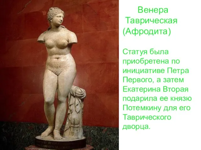 Венера Таврическая (Афродита) Статуя была приобретена по инициативе Петра Первого, а затем