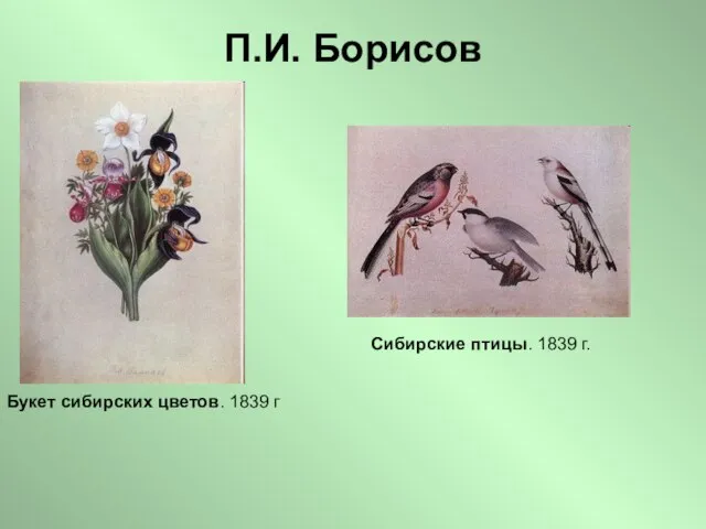 П.И. Борисов Букет сибирских цветов. 1839 г Сибирские птицы. 1839 г.