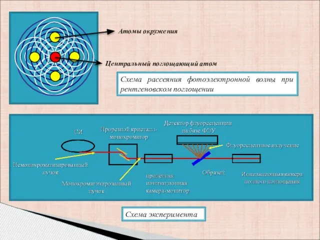 Схема рассеяния фотоэлектронной волны при рентгеновском поглощении Атомы окружения Центральный поглощающий атом Схема эксперимента