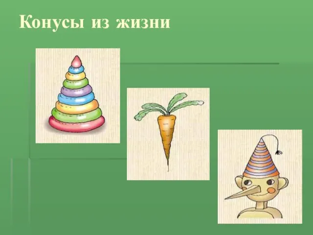 Конусы из жизни