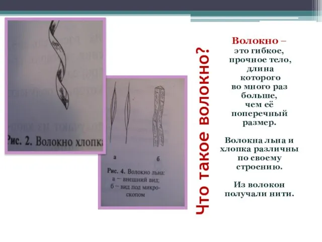 Что такое волокно? Волокно – это гибкое, прочное тело, длина которого во