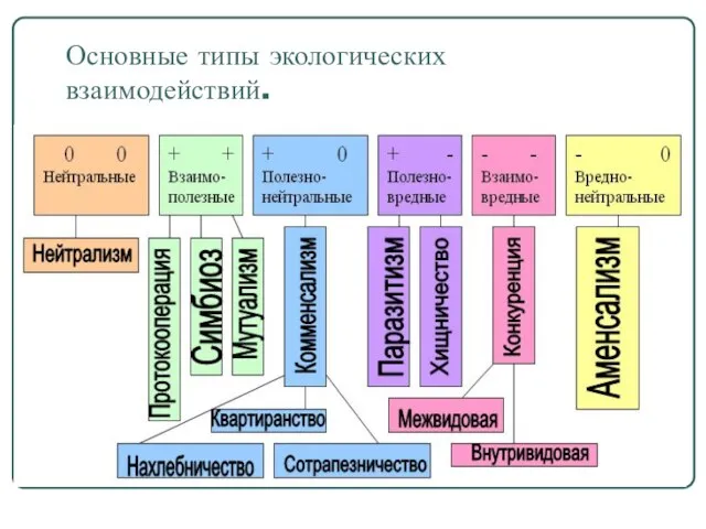 Основные типы экологических взаимодействий.