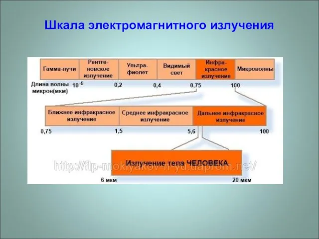 Шкала электромагнитного излучения